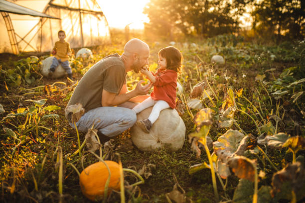 дочь кормит своего отца яблоком на природе - vegetable child growth people стоковые фото и изображения