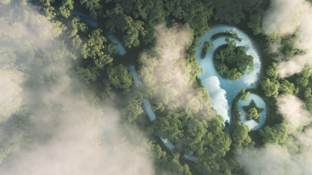 istock Eco travelling concept. 3d rendering of dense misty amazonian rainforest with map point sign in a shape of pond. 1184610518