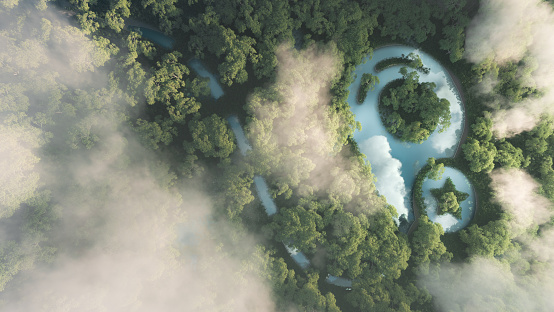 Eco travelling concept. 3d rendering of dense misty amazonian rainforest with map point sign in a shape of pond.