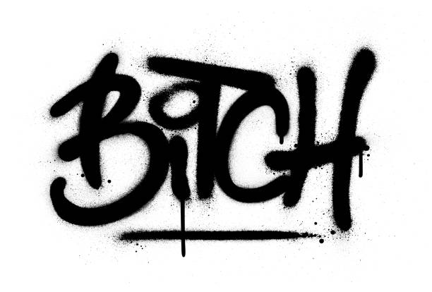 graffiti suka słowo rozpylane w kolorze osobam na białym - bitch stock illustrations