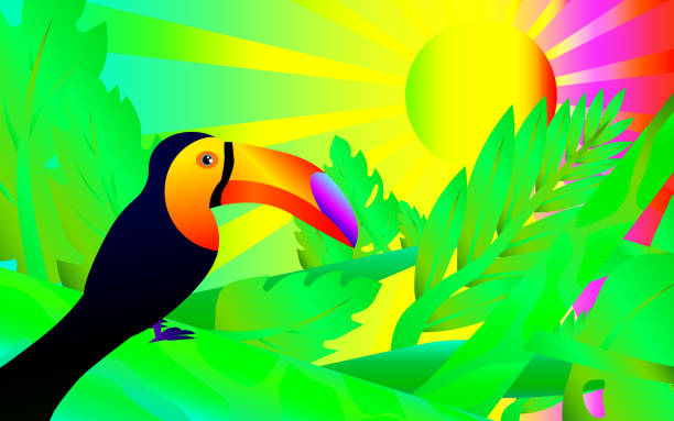Multi-colored rainbow illustration of the jungle - Toucan in the jungle. Multi-colored rainbow illustration of the jungle - Toucan in the jungle. rainbow toucan stock illustrations