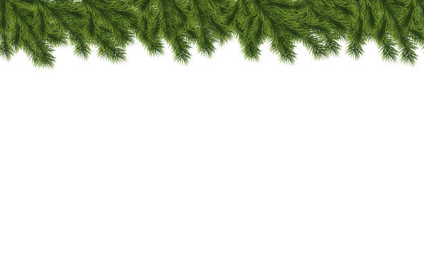 istock Festive Christmas or New Year Background. Christmas Tree Branches. Holiday's Background. Vector illustration 1184618561