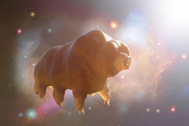 空間 3d レンダリングのタルディグラダ - water bear ストックフォトと画像