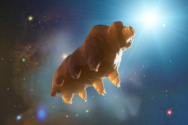 tardigrada no espaço 3d render - water bear - fotografias e filmes do acervo
