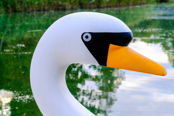 istock Swan pedal boat in closeup 1184621821