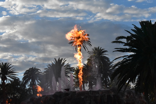 A palm tree in a fire show that looks like it’s on fire