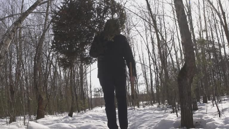 Guy with axe carries felled Christmas tree on his shoulder. Christmas Eve and New year. Man walks in the forest in the snow. Concept the beginning of holidays and celebrations. Slow motion