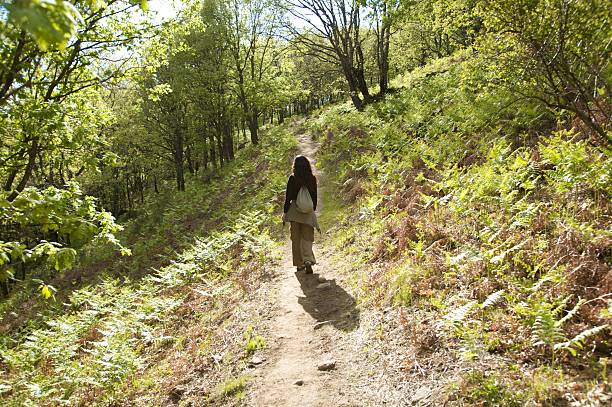 istock hiking at green nature 118462413