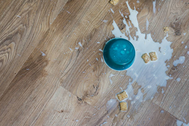 istock Kids cereal spilled on floor 1184625390