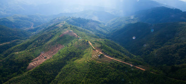 vue aérienne du chemin de terre de montagne et des rizières en saison de pluie. - tropical rain forest flash photos et images de collection