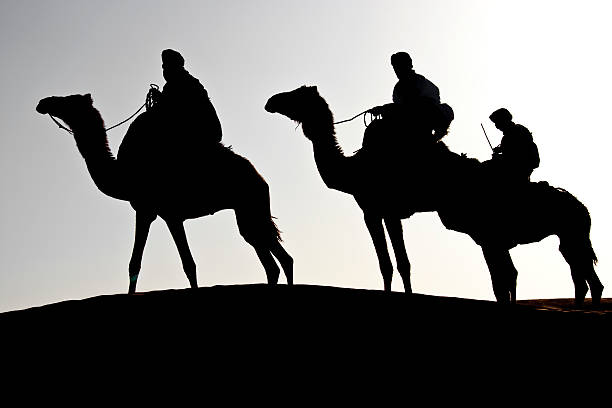 caravan silhouette of three men with dromedaries stock photo