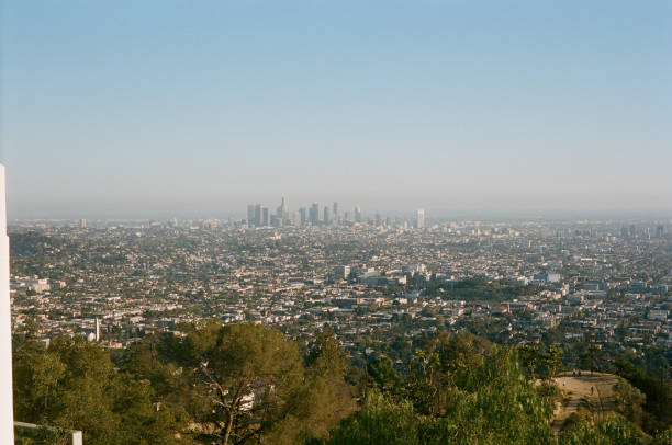 istock Los Angeles Surfing and Skyline 1184631102