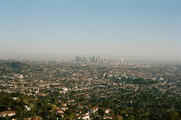 istock Los Angeles Surfing and Skyline 1184631276