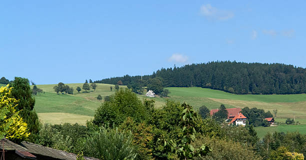 istock around Saint Peter in the Black Forest 118463338