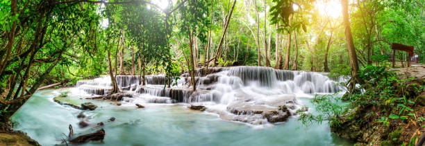 Photo of Travel to the beautiful waterfall in tropical rain forest, soft water of the stream in the natural park at Huai Mae Khamin Waterfall in Kanchanaburi, Thailand.