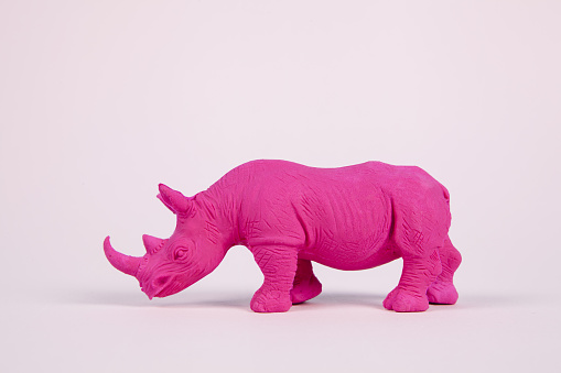 a pink fuschia rhinoceros, set on a pink pastel background. Pop atmosphere. minimal color still life photography