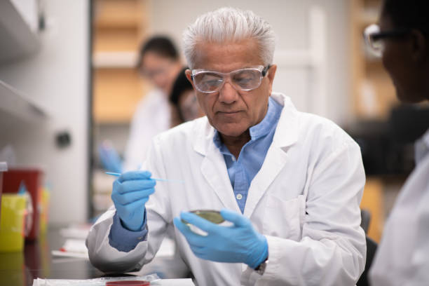 um técnico masculino maduro do laboratório que ensina um estudante como examinar uma foto conservada em estoque do prato da pilha-cultura - male black medical student mature student - fotografias e filmes do acervo