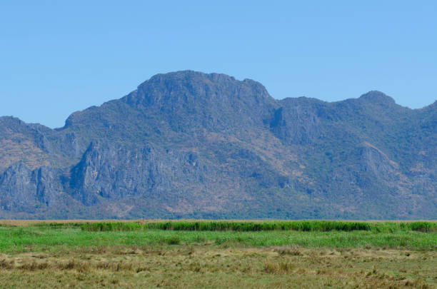 istock Beautiful landscape view from grass and mountain with blue sky background. 1184642339