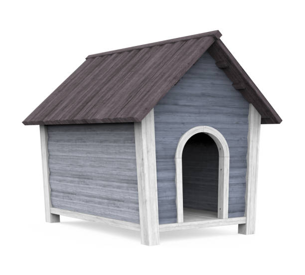istock Dog House Isolated 1184642563