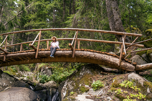 wooden bridge made of birch beams across a stream in the forest