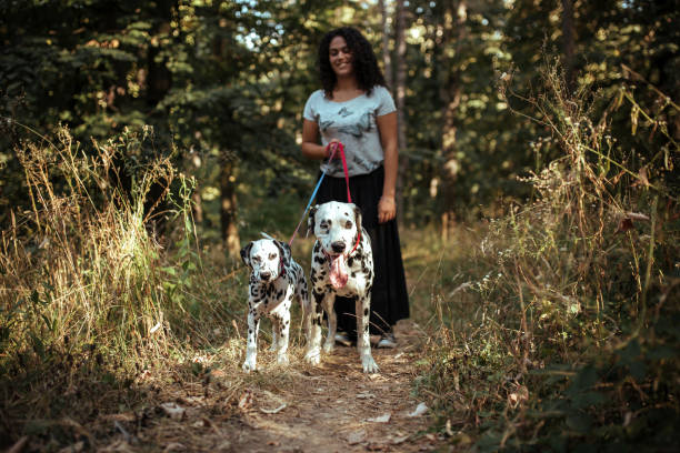 istock Young woman with dogs 1184643679