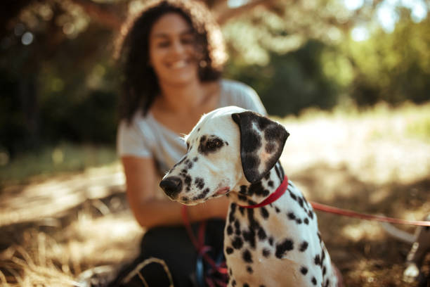 istock Young woman with dogs 1184644646