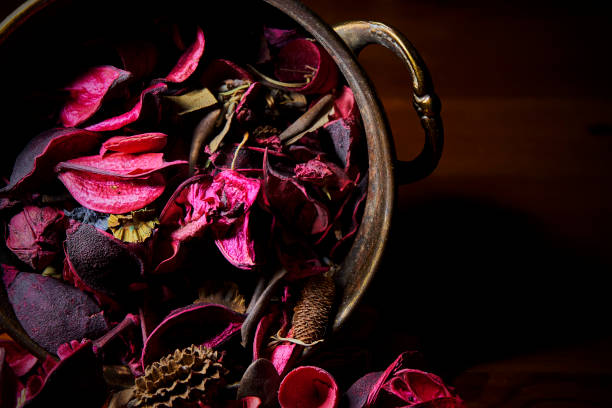 purple dried petals on wooden board and laton base 2 - laton imagens e fotografias de stock