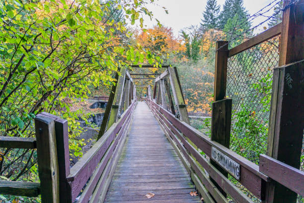 istock Tumwater Falls Park Walking Bridge 1184655023