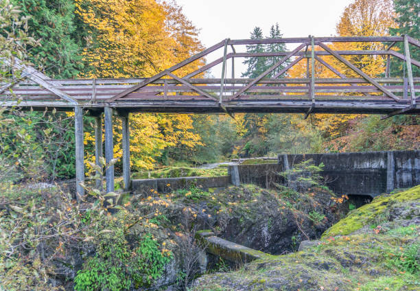 istock Tumwater Falls Park Walking Bridge 2 1184655048