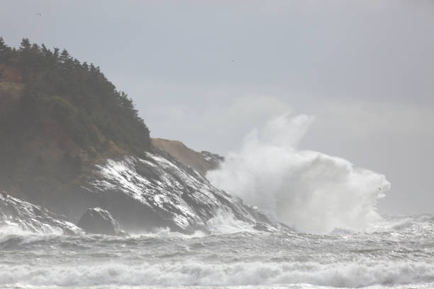 istock Surf at False harbor, Yarmouth bar, Nova Scotia 1184655277