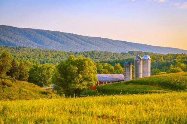 istock Loysville, PA 1184655340