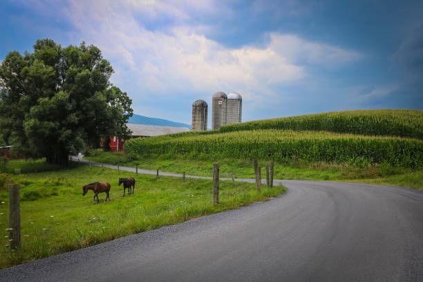 istock Loysville, Pennsylvania 1184655494
