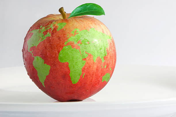 Apple with the world map on it stock photo