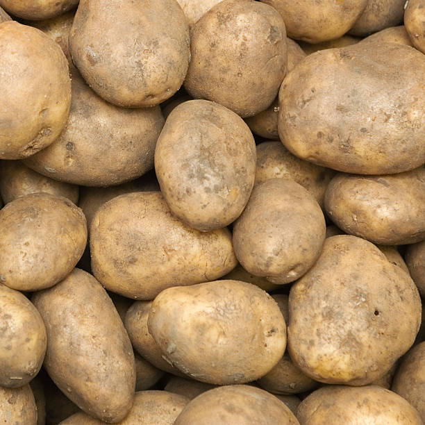 Potatos potatoes stock photo