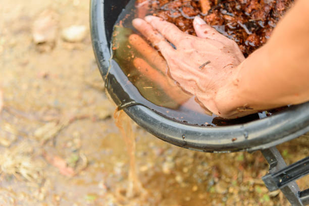 istock Pour the water after soak the coconut peel 1184657221
