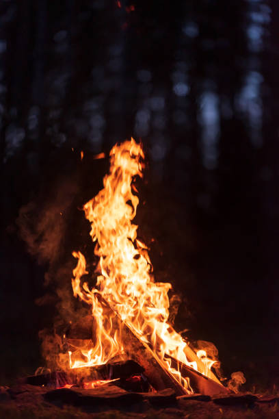 istock Burning campfire in chilly autumn evening 1184661235