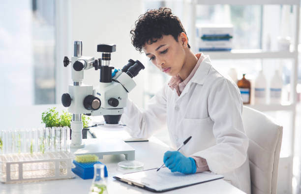 istock What she finds she records 1184664758