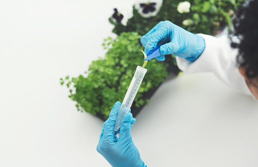 High angle shot of an unrecognizable female scientist putting a plant sample into a test tube while working in a laboratory