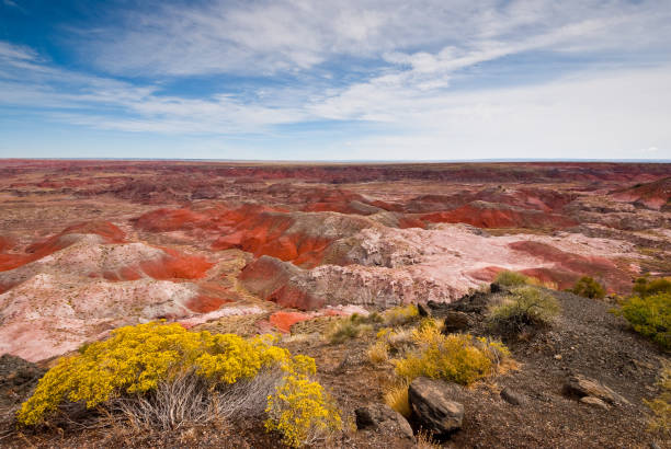 Vibrant colors of the Painted Desert in Arizona