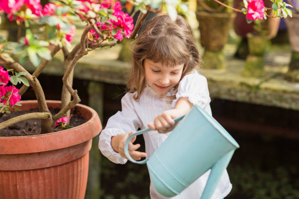 dziewczynka pomaga podlewania roślin i ogrodnictwo w szklarni - bush child gardening sunlight zdjęcia i obrazy z banku zdjęć