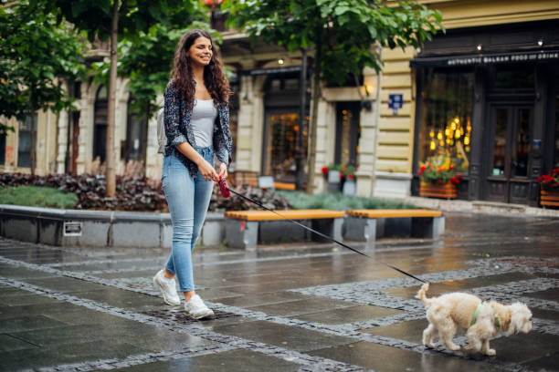 istock Girl walking with her dog 1184667728