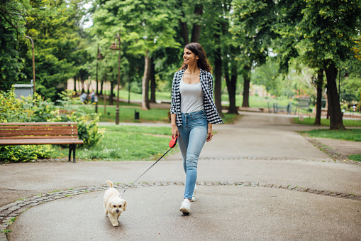 Beautiful young woman walking through the park with her Maltese puddle.