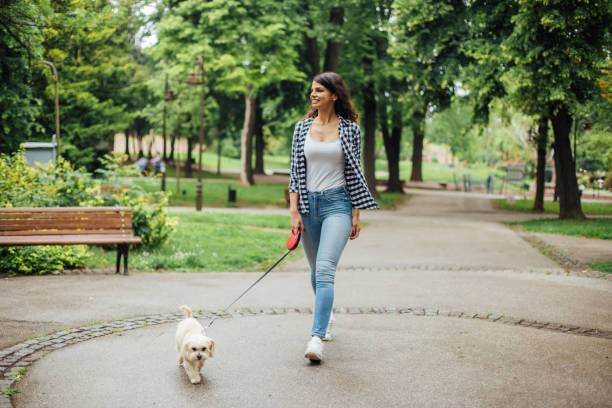 Girl enjoying in the park with her dog Beautiful young woman walking through the park with her Maltese puddle. lady dog stock pictures, royalty-free photos & images