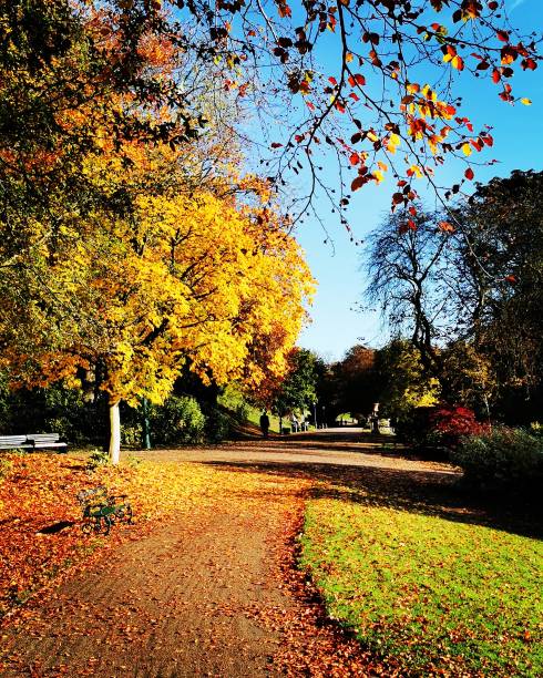 istock Colours of autumn 1184672632