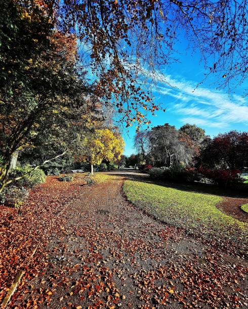 istock Autumn in the park 1184672667
