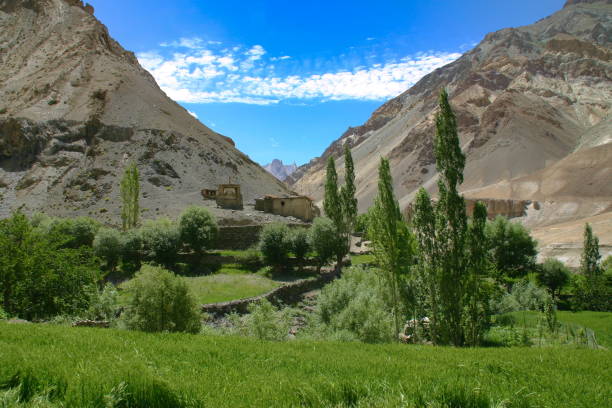 istock Stupa near Wanla in Ladakh 1184673624
