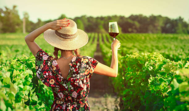 Asian woman drinking red wine Back side of woman drinking red wine at vineyard during the sunset winery stock pictures, royalty-free photos & images