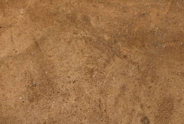 istock The surface of a dirty sandy floor, ground background 1184681219