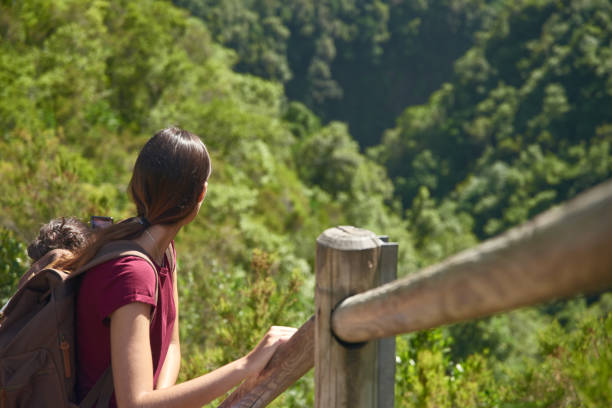 istock Woman looking at a valley behind her 1184681221