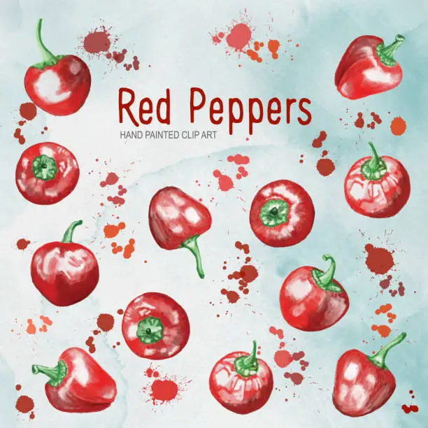 Vector illustration of Watercolor Hand Painted Whole Red Bell Peppers Isolated on Textured Paper with Red Paint Splashes. Clip Art. Design Element for Menu Cards and Labels, Abstract Food Background Template.